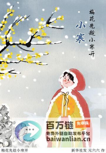 冬雪美景映衬霜华 小寒 踏入岁末迎春光 梅花暗香弥漫暖意 (冬雪美景阅读答案)